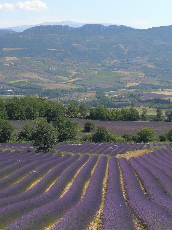 Hotel Mas En Baronnies Provencales Eygaliers  Exterior foto