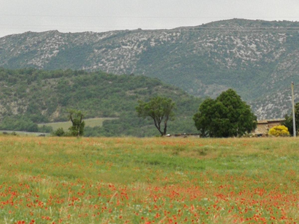 Hotel Mas En Baronnies Provencales Eygaliers  Exterior foto